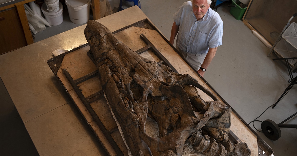 150-Million-Year-Old Sea Monster Skull Discovered Along UK Coast