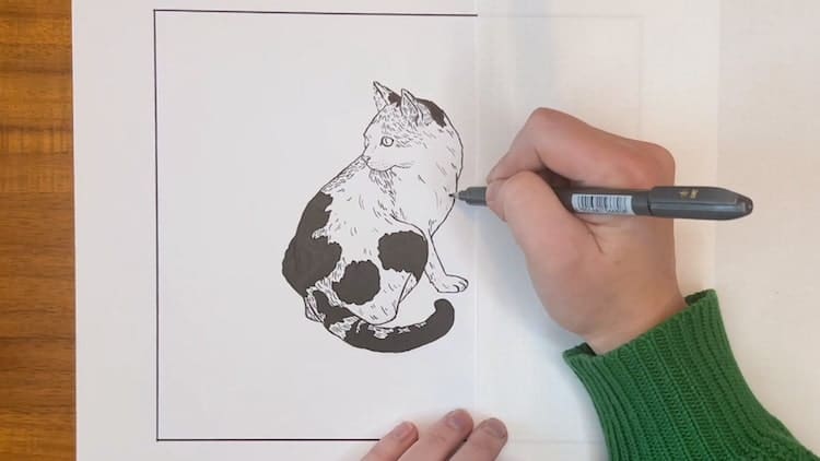 Pencil drawing in a circle/pencil drawings easy/pencil drawing simple/pencil  drawing in circle - YouTube | Circle drawing, Easy drawings, Art drawings  for kids