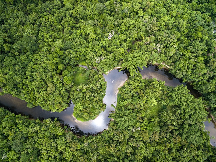 Lasers Reveal 2,500-Year–Old Cities Underneath the Amazon Rainforest