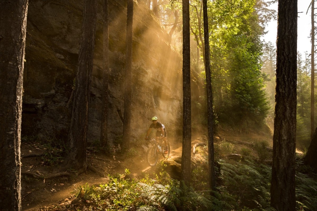 A racer takes on the Creeper Trail near Nanaimo, B.C. during the BC Bike Race, a seven-day, multi-stage mountain bike race