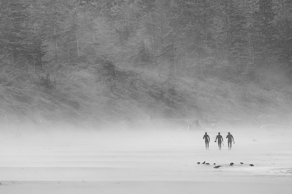 A trio of surfers heads for shore, leaving the beach to the blackbirds as fog begins to roll in at Cox Bay in Tofino, B.C.