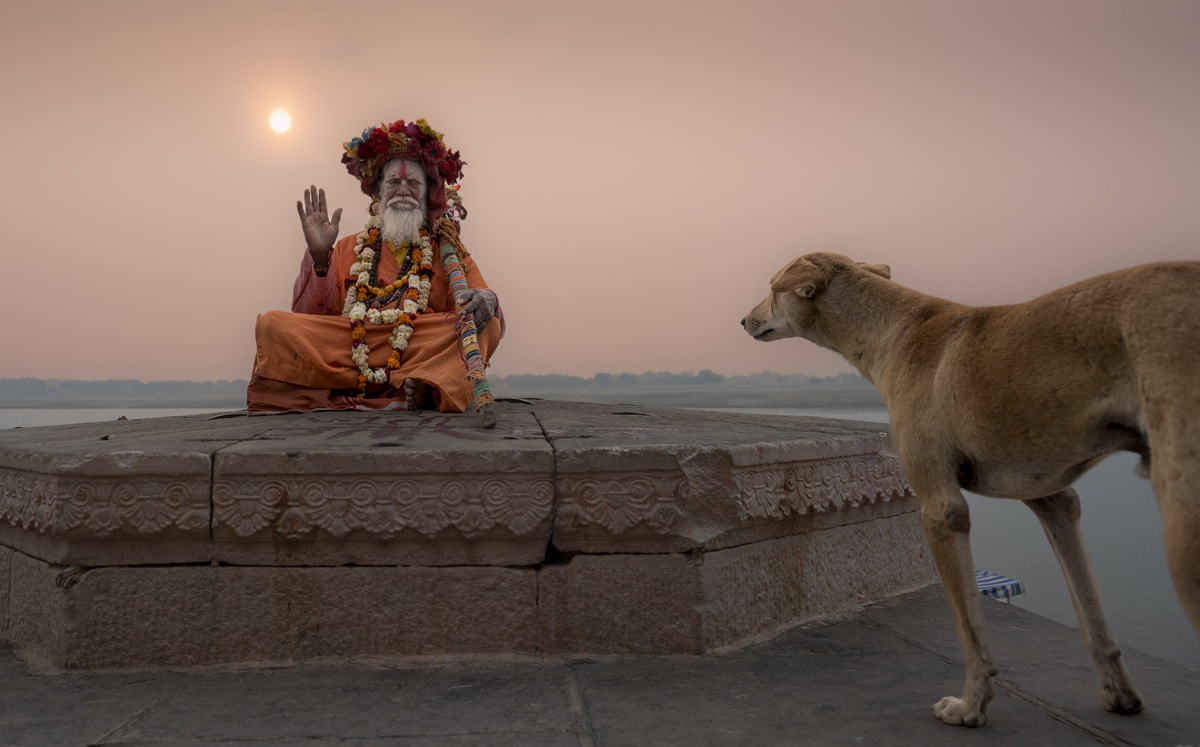 Sadhu praying next to a dog