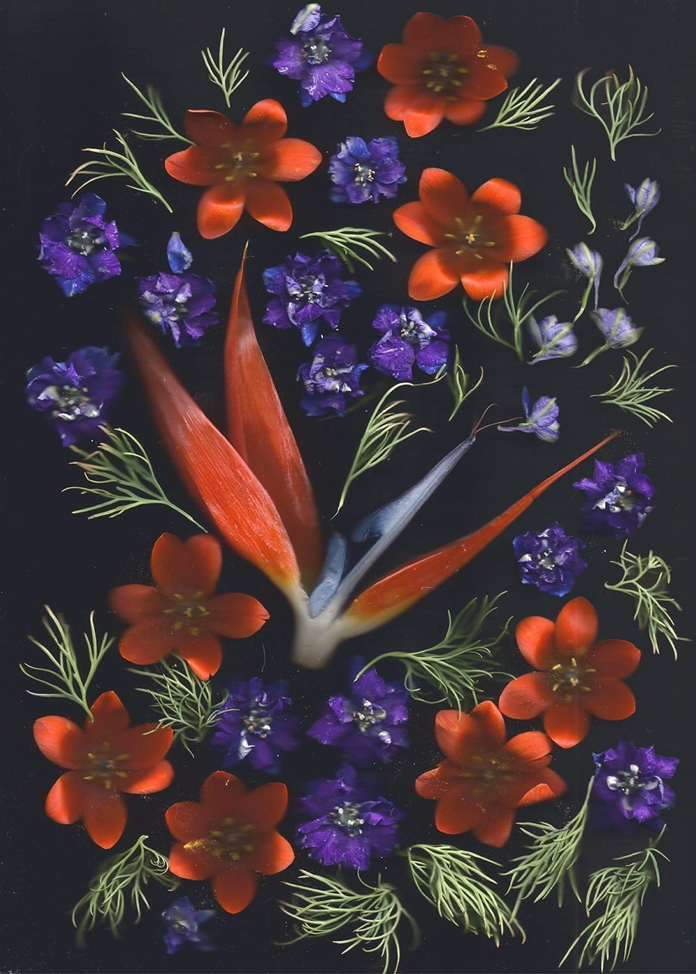 Still life of flowers