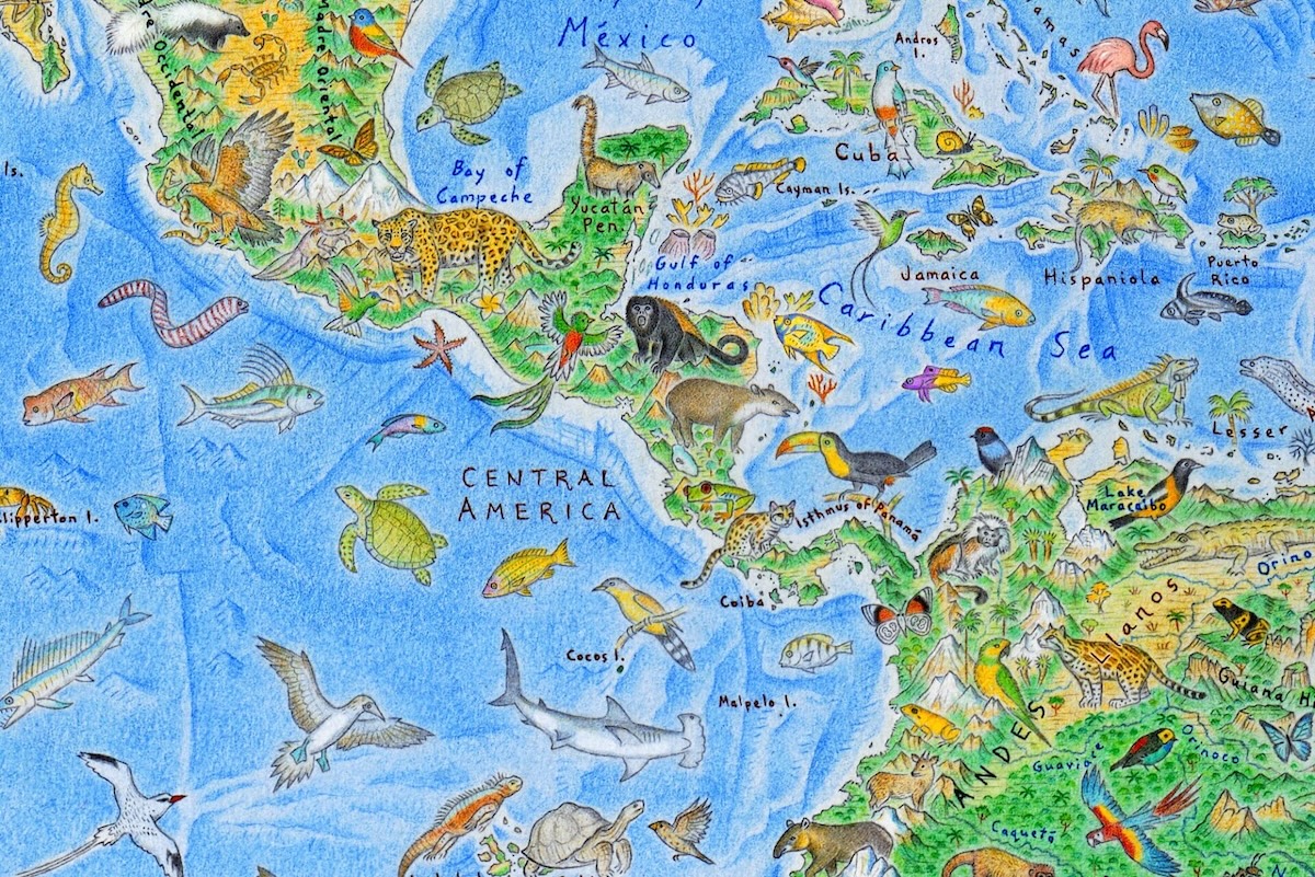 Wild World Map by Anton Thomas