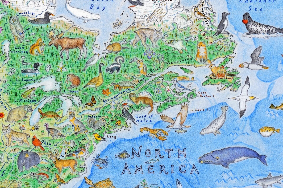 Wild World Map by Anton Thomas