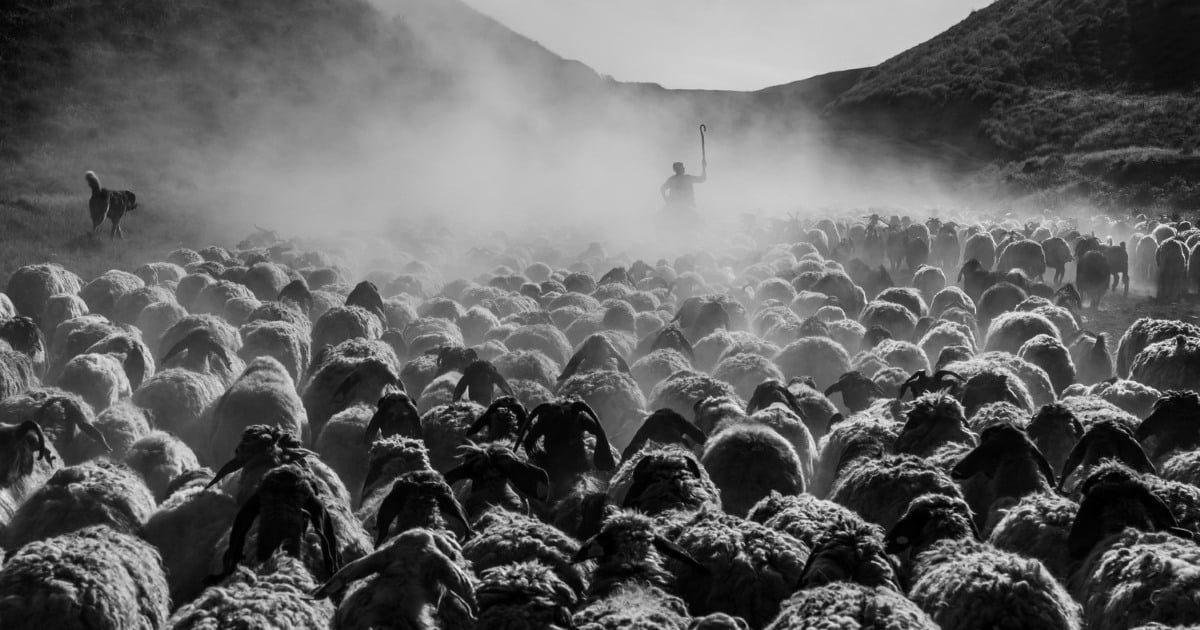 31 Incredible Winners from the Black & White Photo Contest
