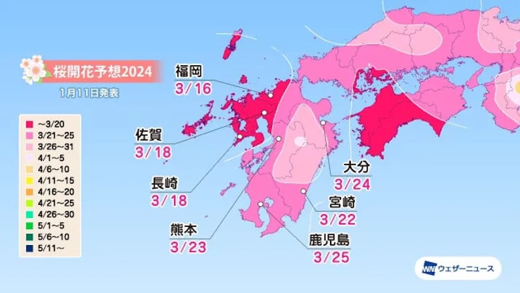 map of japan with cherry blossom season start forecast
