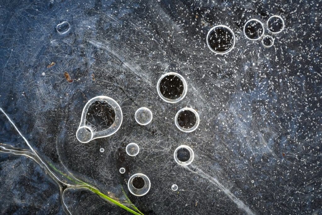 Bubbles trapped under ice