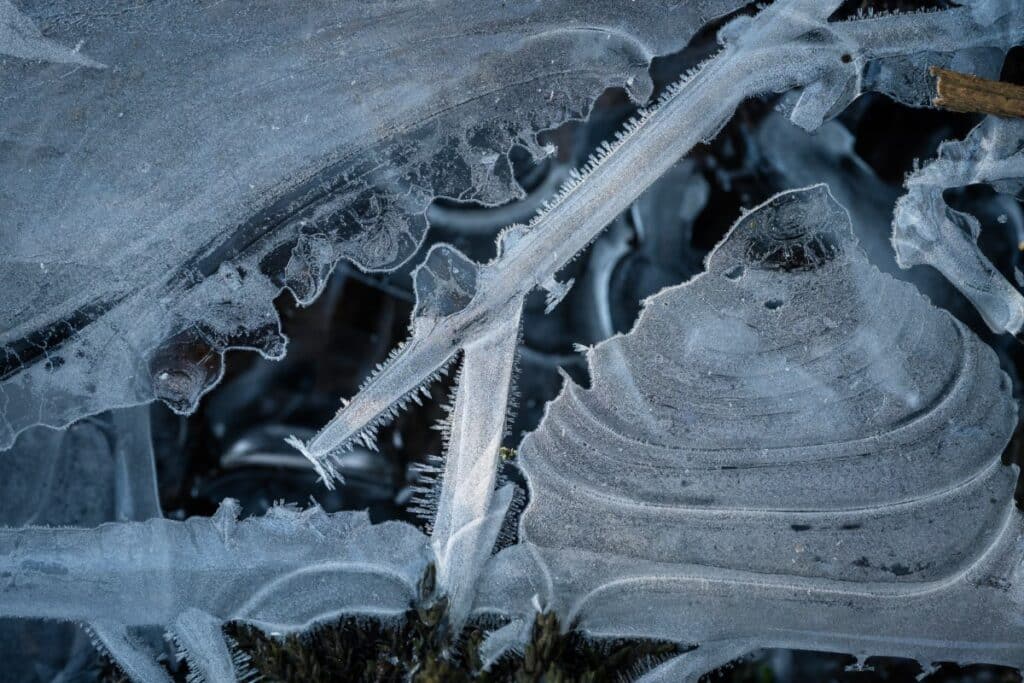 Jan Erik Waider - Frozen Colors of Winter