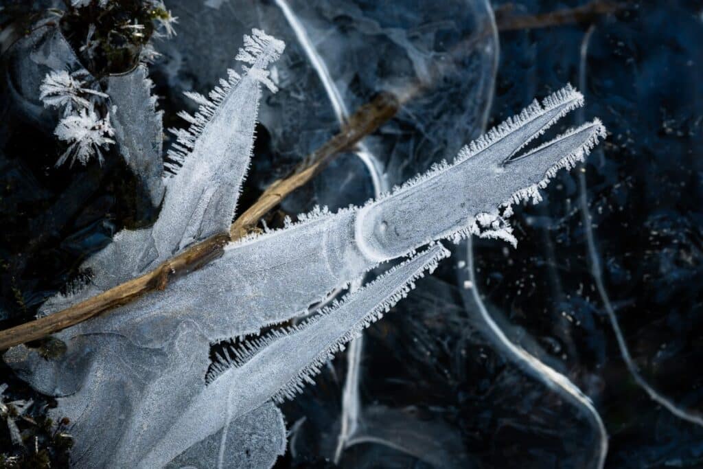 Jan Erik Waider - Frozen Colors of Winter