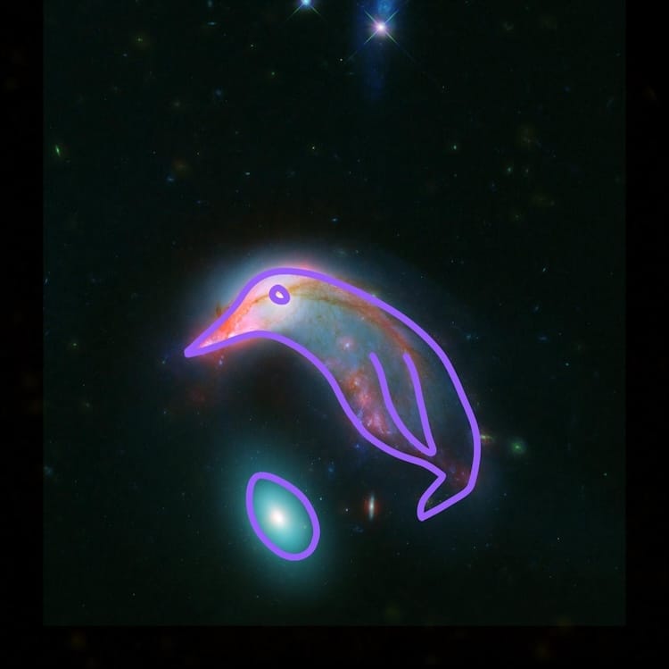 Penguin and Egg Shaped Galaxies with Outlined Drawing Shared by NASA