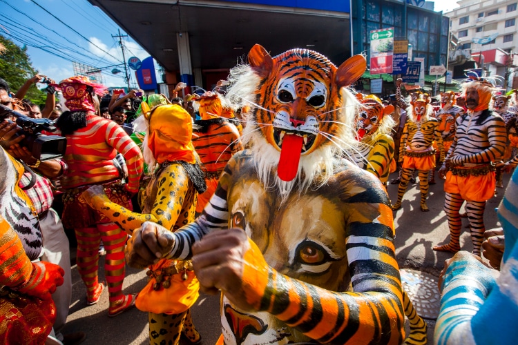 Thrissur, Kerala, India / September 10, 2014: Trained dancers get their body painted in the colors of a tiger participate in the famous 200 year old Pulikali dance.