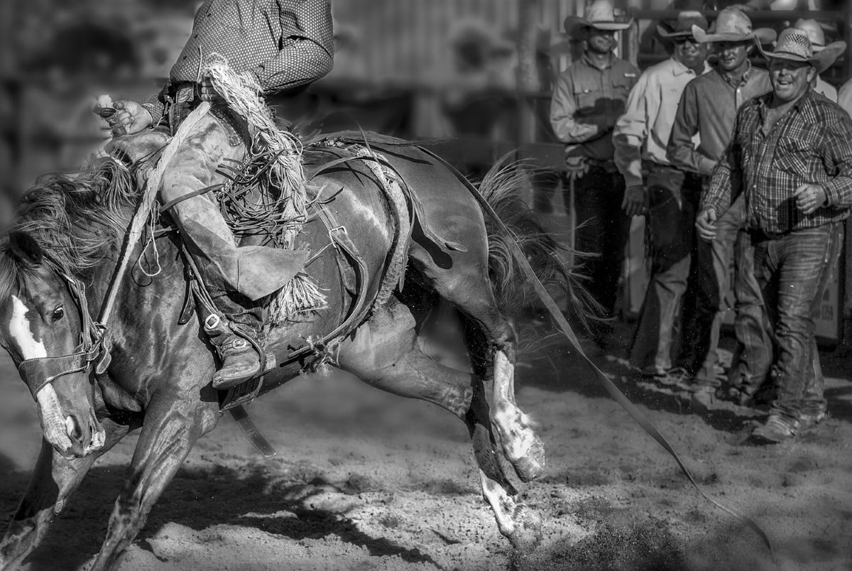 Black and white photo of a person riding a bucking bronco