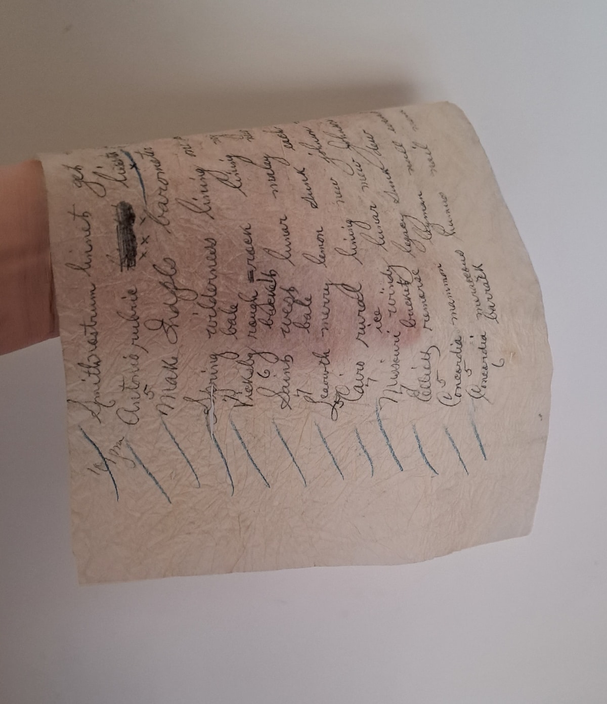 Secret Telegraphic Message Found in Mid-1880s Dress