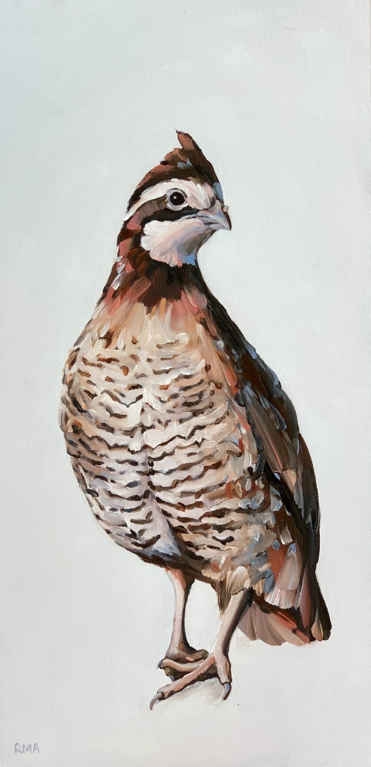 Oil Portrait of a Bird by Rachel Altschuler