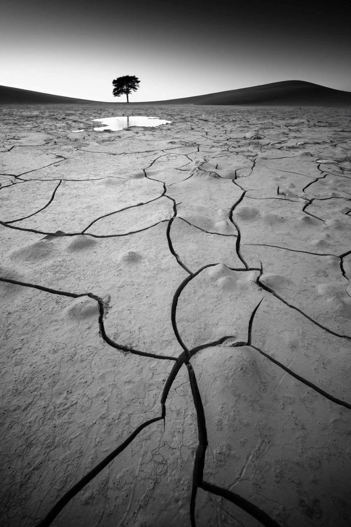 Black and white photo of dry Earth with cracks