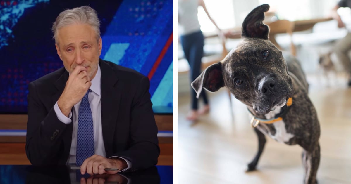 Jon Stewart Pays A Tearful Tribute To His Dog On The Daily Show   Jon Stewart Dog Dipper Tribute Fb 