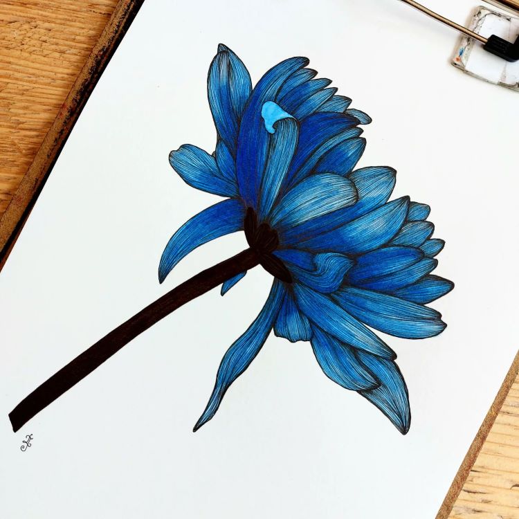 Drawing Of Blue Flower