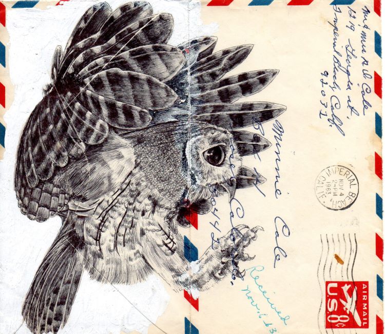 Sketch of Owl On Top Of Envelope