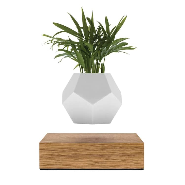 Lyfe Levitating Planter