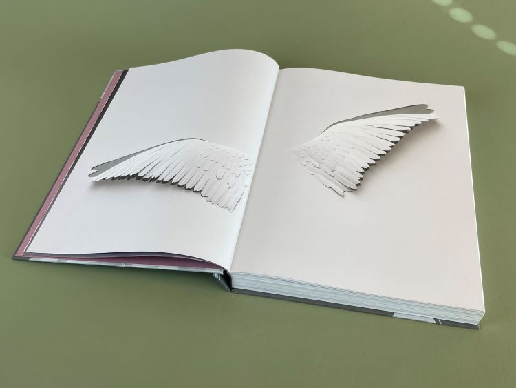 Peter Callesen Paper Sculpture Of Feathered Wings Rising Out Of Book