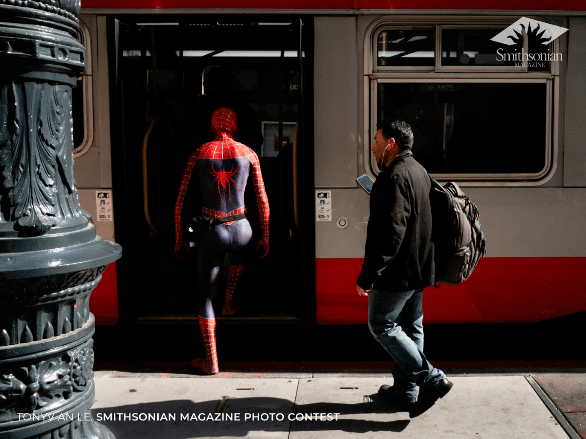 Man in Spiderman costume walking onto a bus