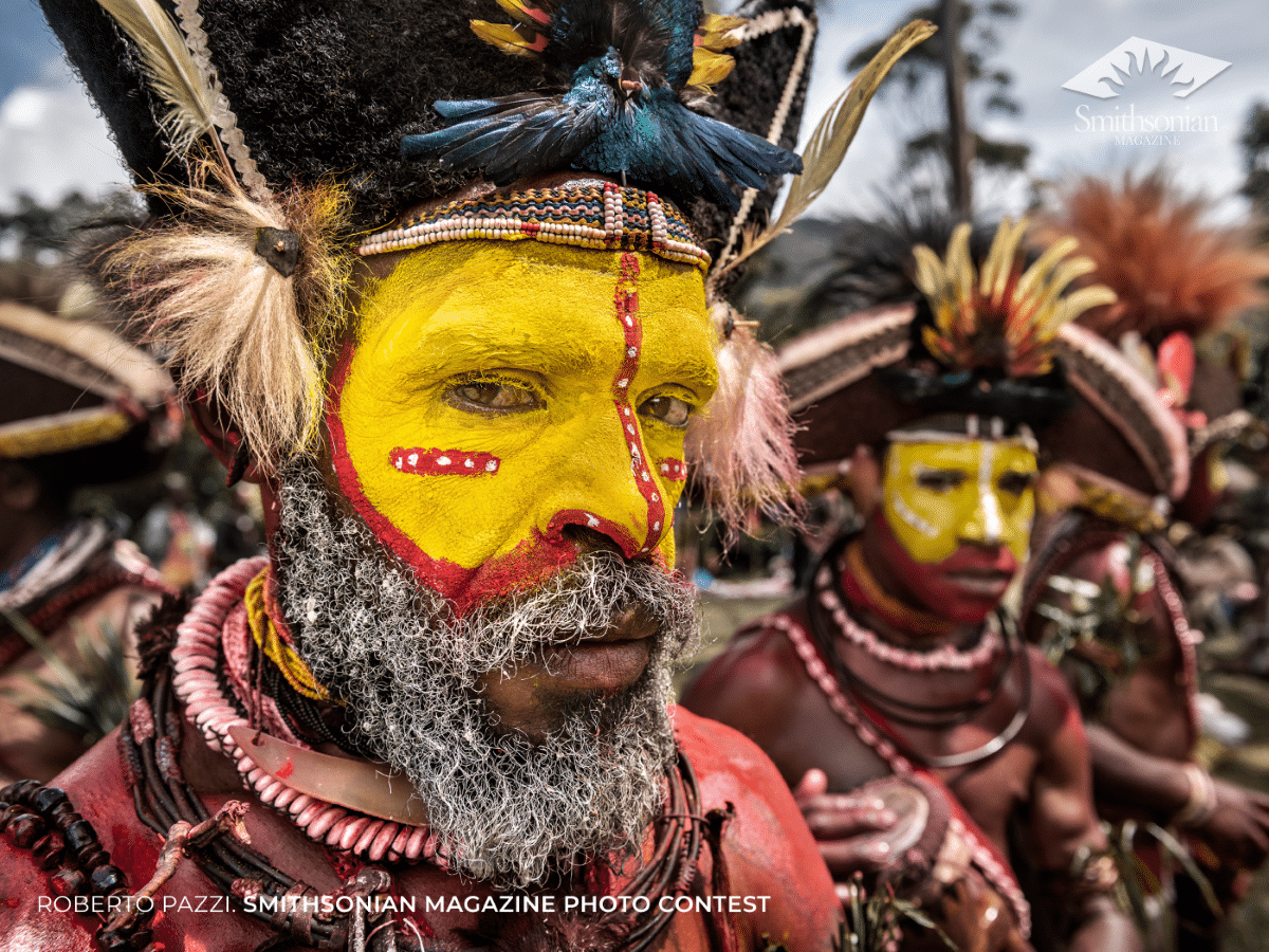 Portrait of Huli wigman tribesman in Papua New Guinea
