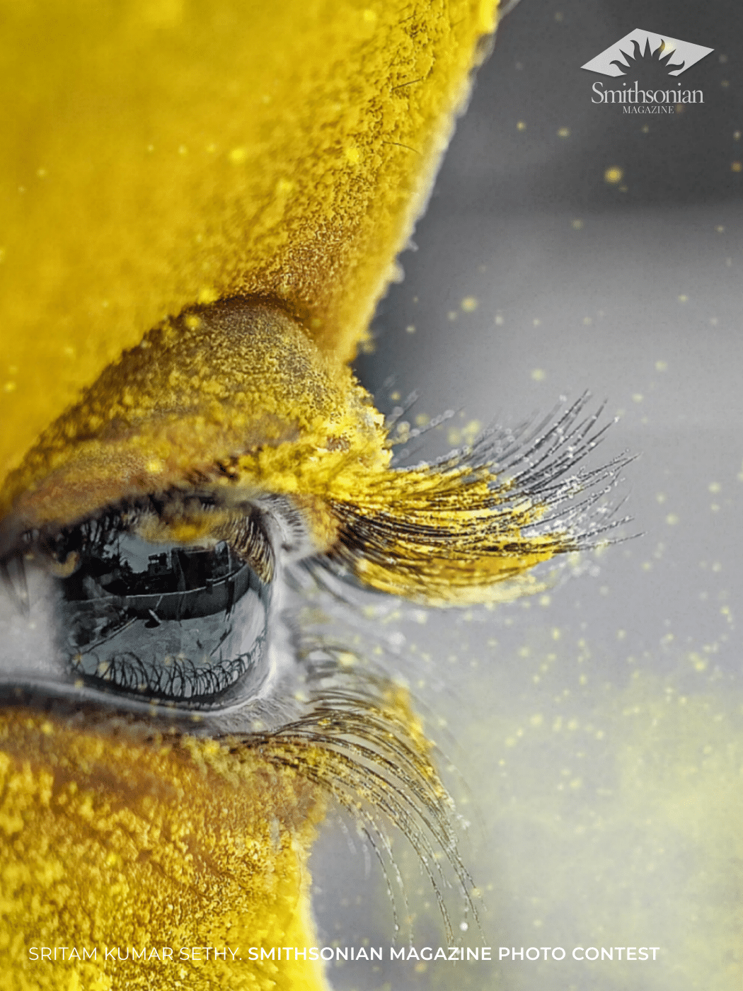 This is a macro shot of a boy's eye caked in yellow powder during the Indian festival of Holi.