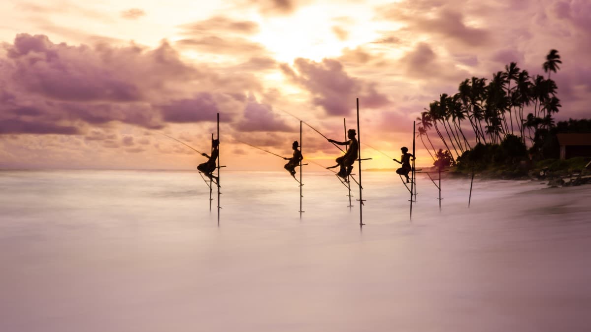 Traditional stilt fishermen try their luck at sunset in Sri Lanka