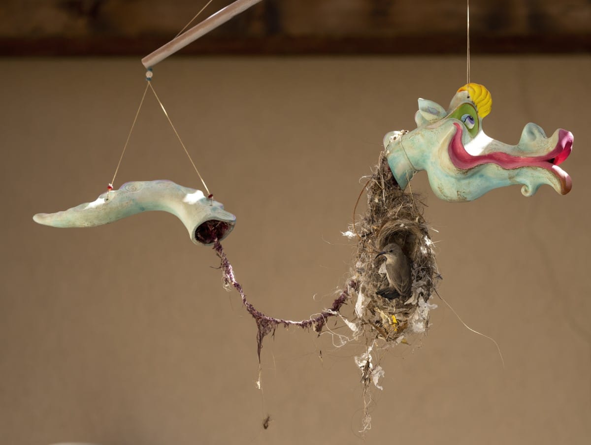 Female sunbird building a nest