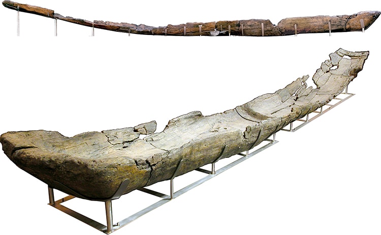 Ancient Canoes Discovered in the Mediterranean