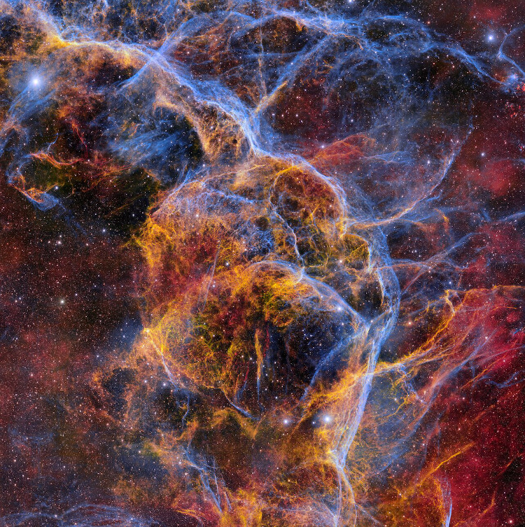 Vela Supernova Remnant by Dark Energy Camera