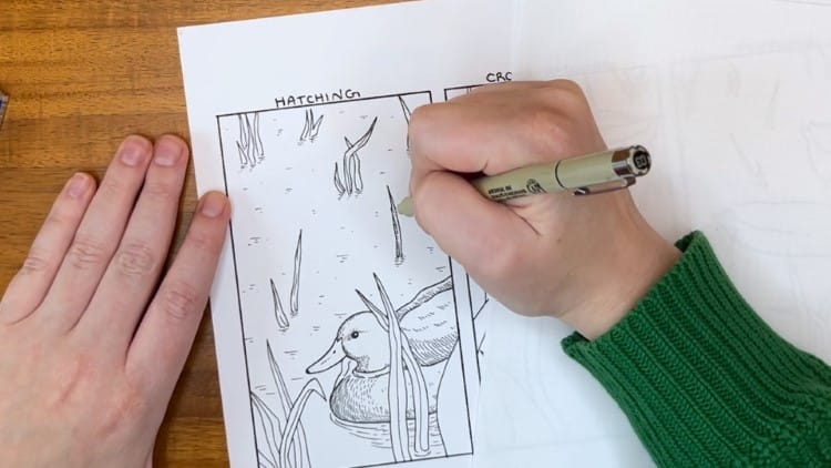 How to Use Hatching in Drawing