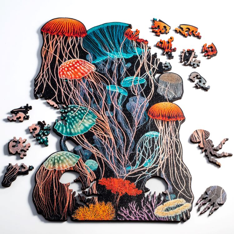Picture Of Finished Multicolored Jellyfish Puzzle