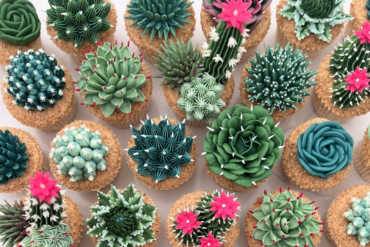 cupcakes decorated with detailed lifelike succulents