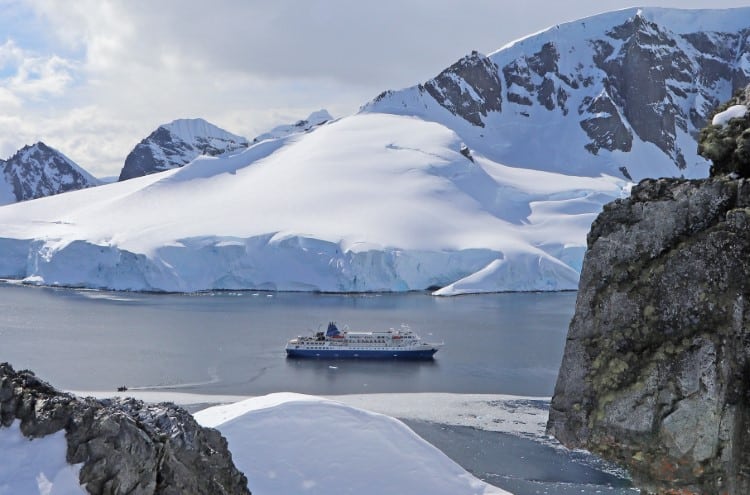 Win a trip to Antarctica with Ami Vitale and Vital Impacts