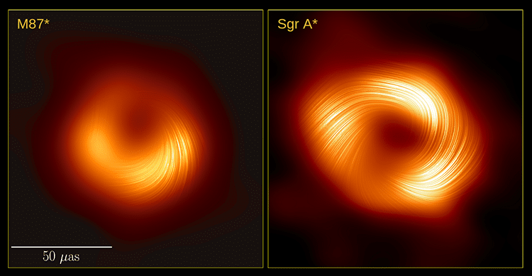 Comparison of polarized images of two black holes