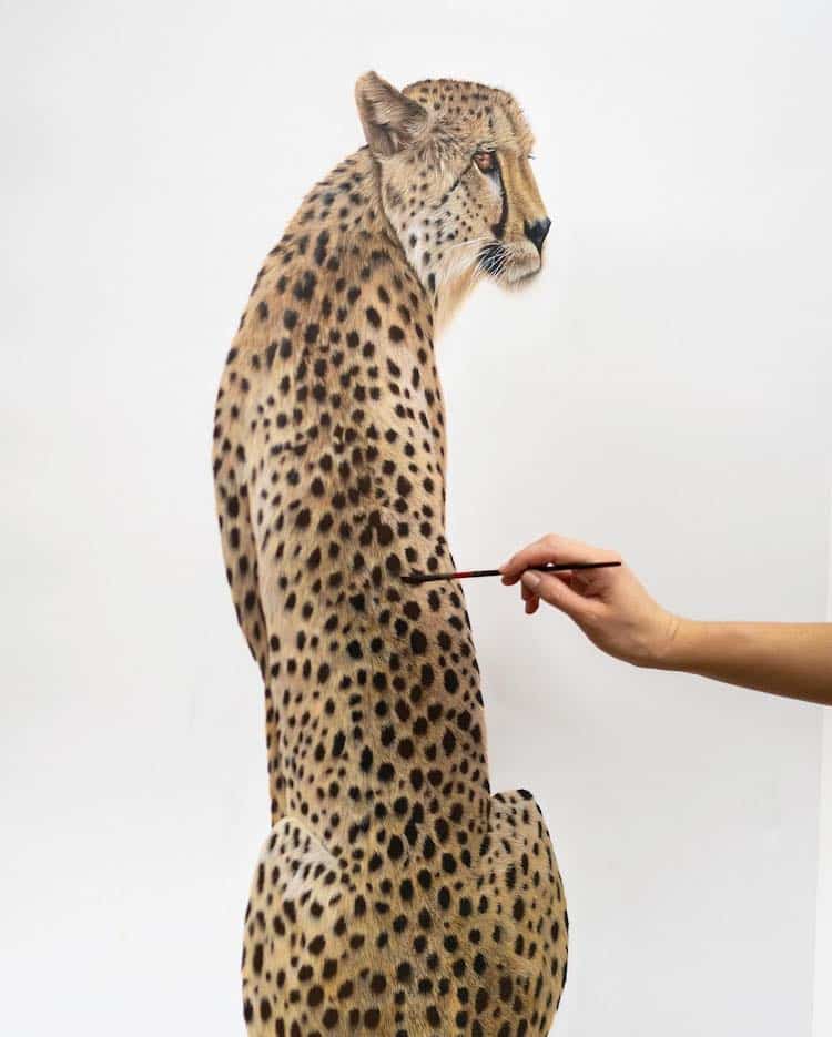 Sophie Green's image that is part of 'Commodities' collection features a Cheetah in a "clinical setting."