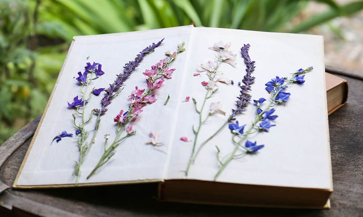 A book is laying open flat with pressed flowers