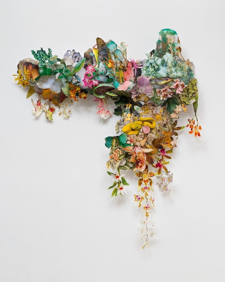 Biodiversity art installation by Clare Celeste