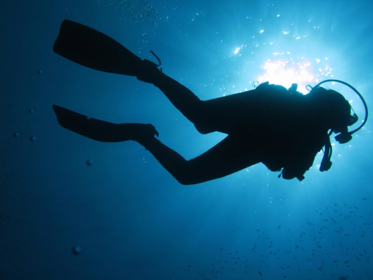 Scuba Diver in the ocean