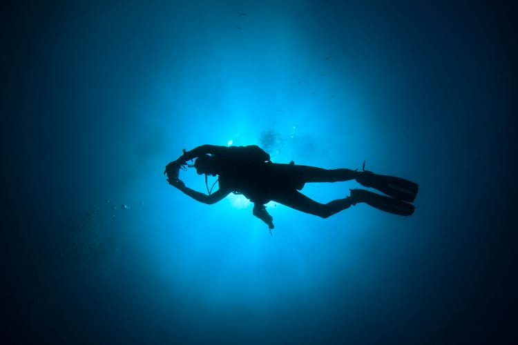 Scuba Diver in the ocean