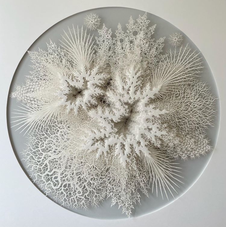 Picture Of Circular White Paper Sculpture That Looks Like Coral