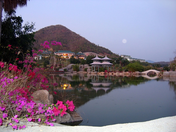 A landscape photo that has flowers in the foreground, a lake in midground and a mountain in the background