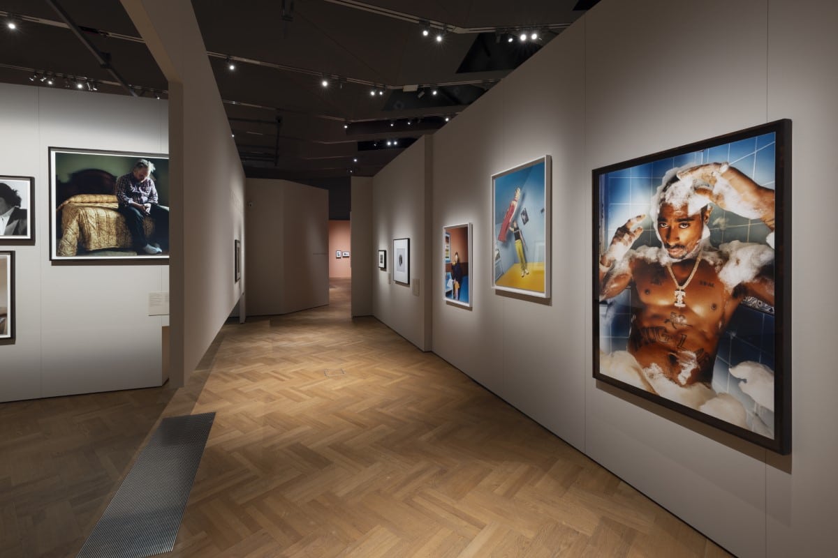 Installation view of Fragile Beauty at the V&A Museum