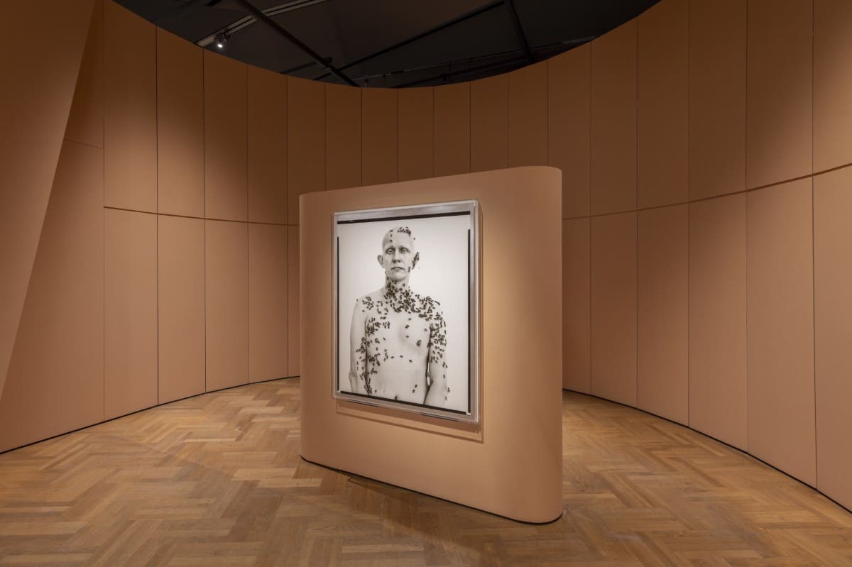 Installation view of Fragile Beauty at the V&A Museum