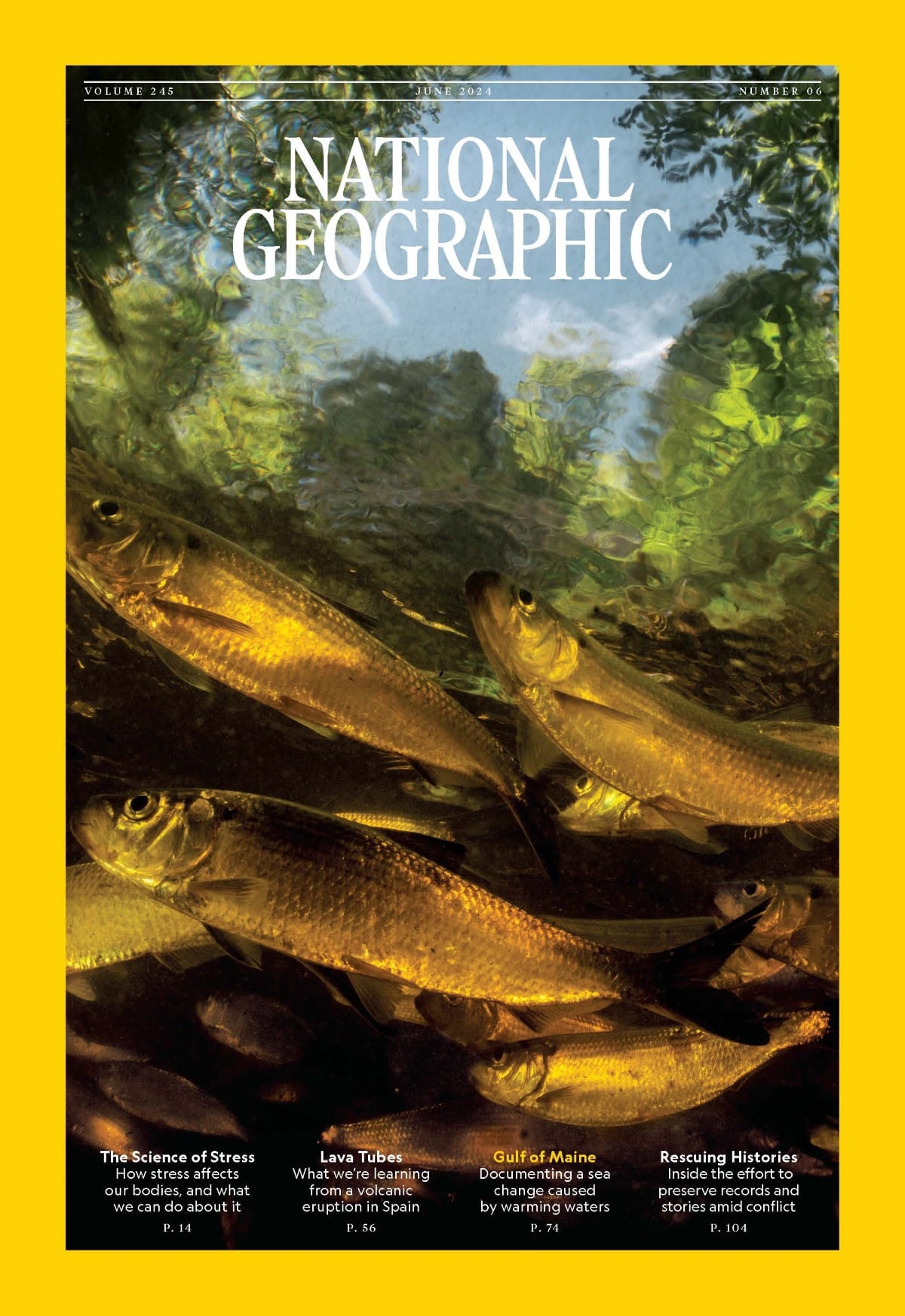 June 2024 National Geographic Cover