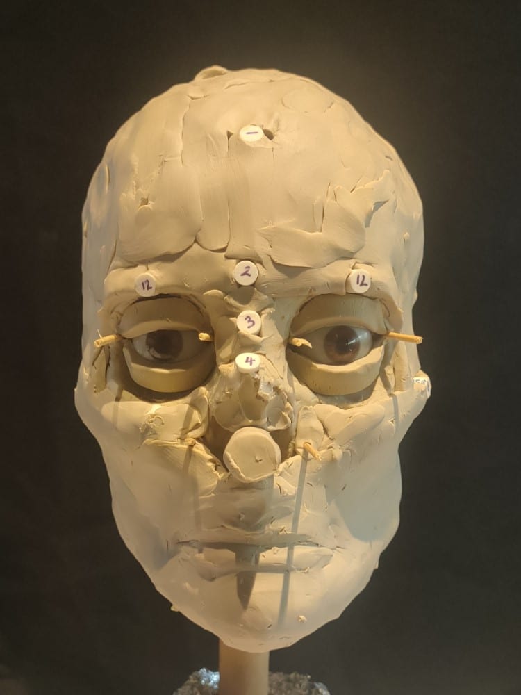 Facial markers during facial reconstruction sculpture by Jennifer Man