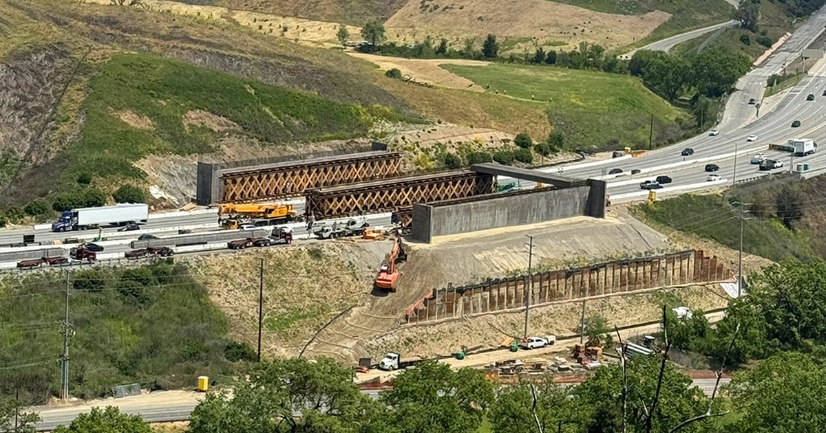 Construction Milestone On World's Largest Wildlife Crossing