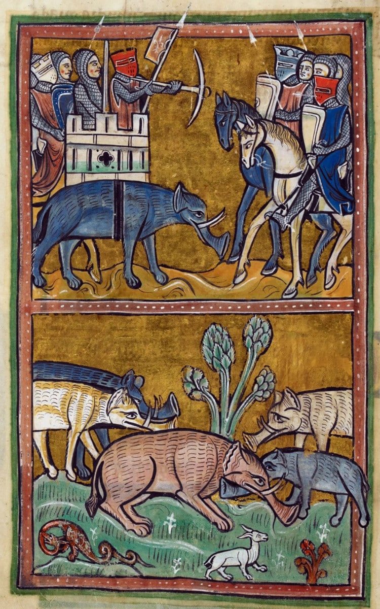 Two medieval animal illustrations of elephants; detail of a miniature from the Rochester Bestiary, BL Royal 12 F xiii, f. 11v. Held and digitised by the British Library